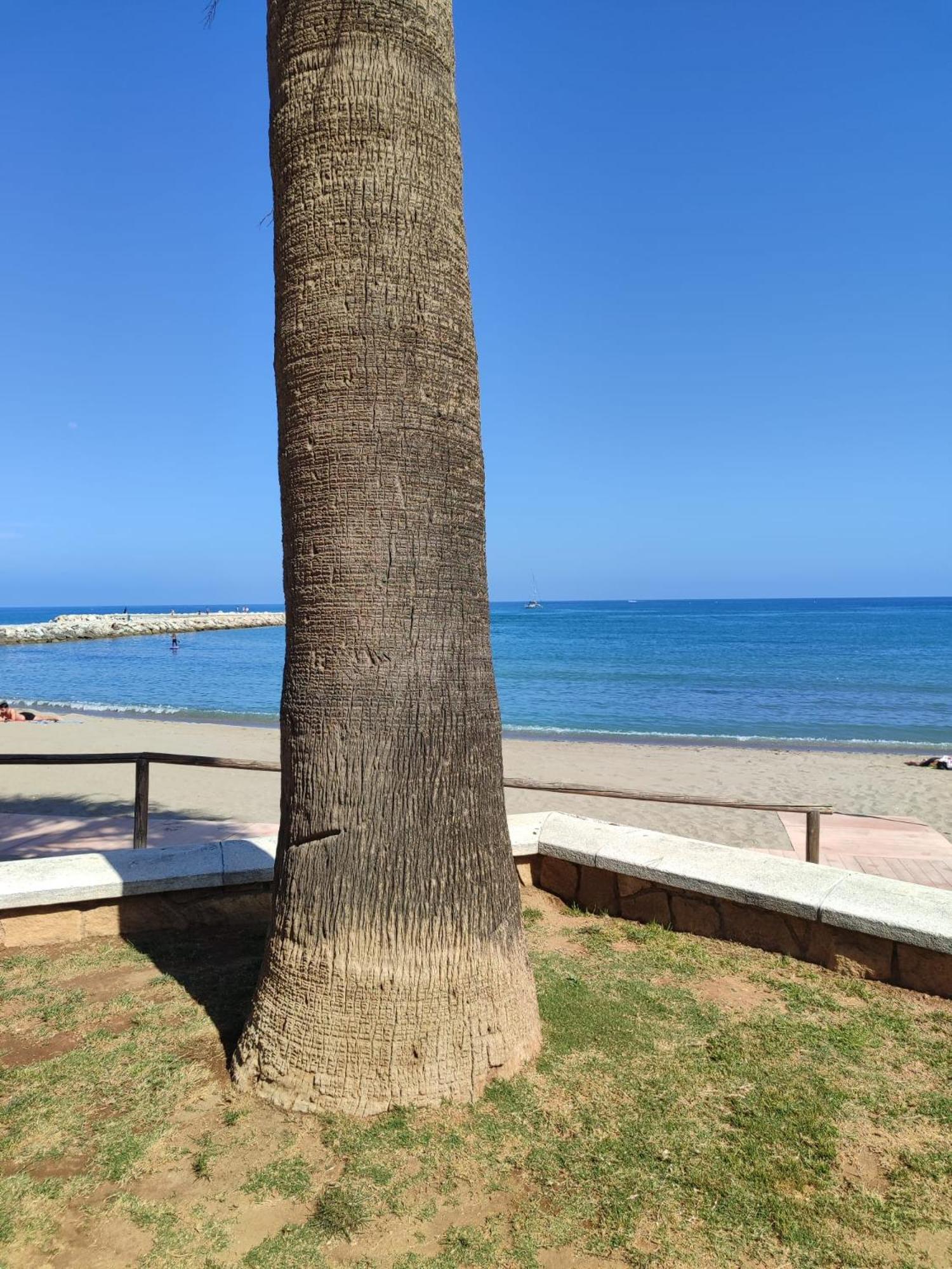 Fuengirola Reyes Beach 외부 사진